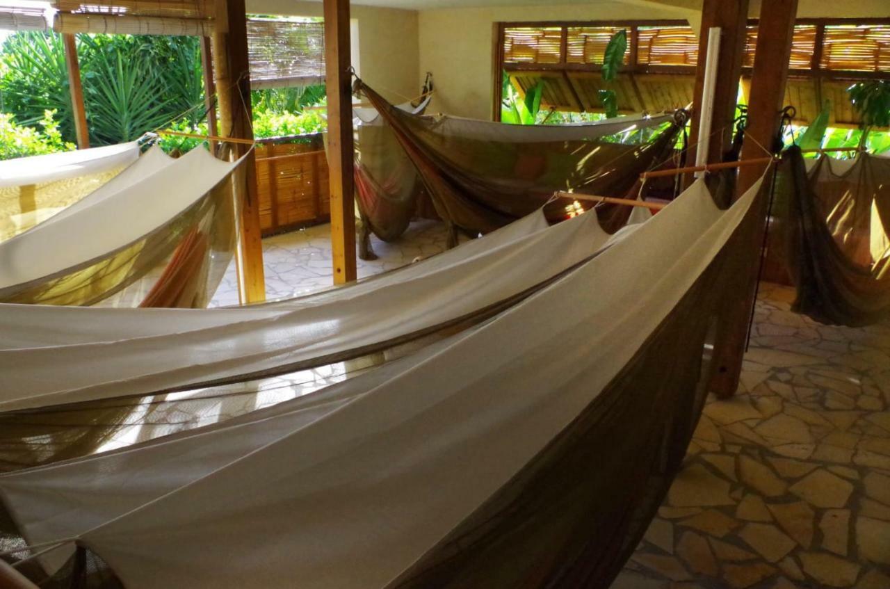 La Suite De Kaz'Hamac Grand-Bourg (Marie Galante) Экстерьер фото